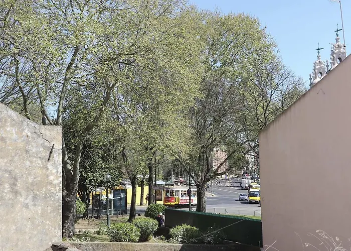 Estrela Design By Homing *